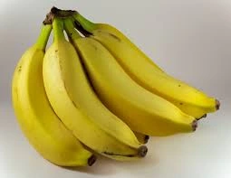 Cavendish Banana